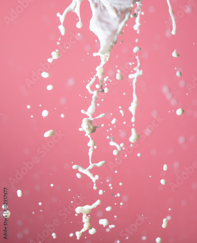 Splashes of white milk on a pink background.