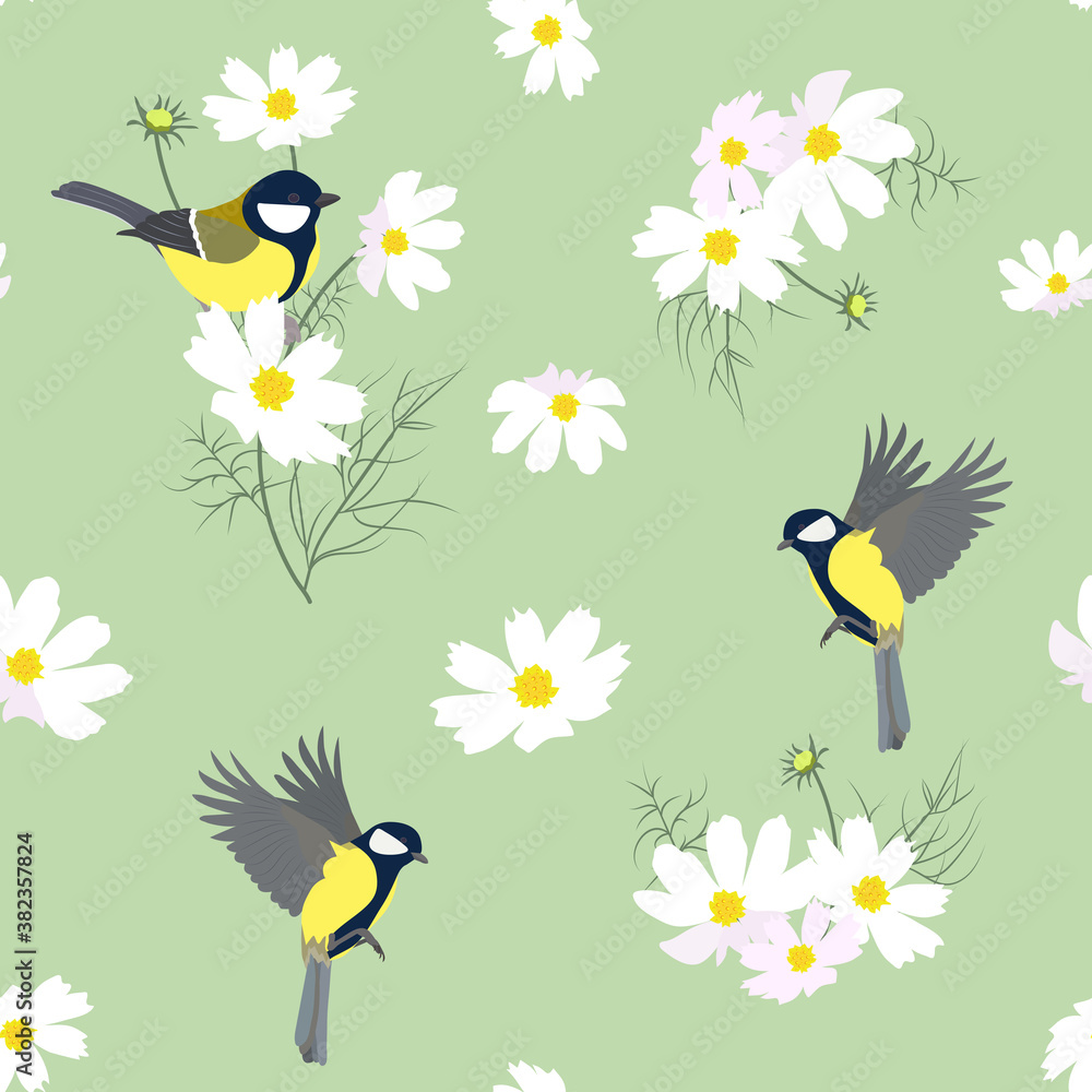 Seamless vector illustration with flowers of a kosmeja and titmouse
