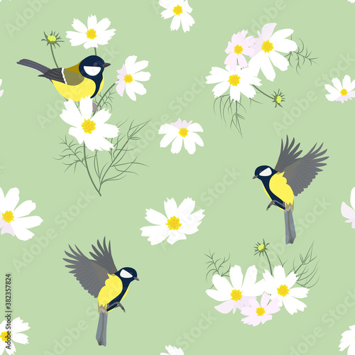 Seamless vector illustration with flowers of a kosmeja and titmouse