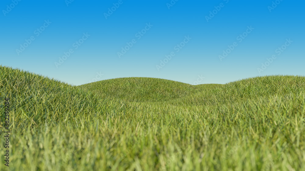 Grass field on small hills and blue gradient sky. 3D illustration