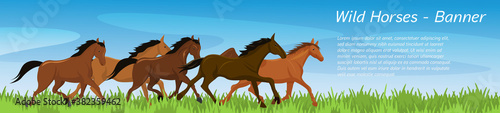 Vector illustration of wild horses. They gallop across a meadow in summer. Panorama banner