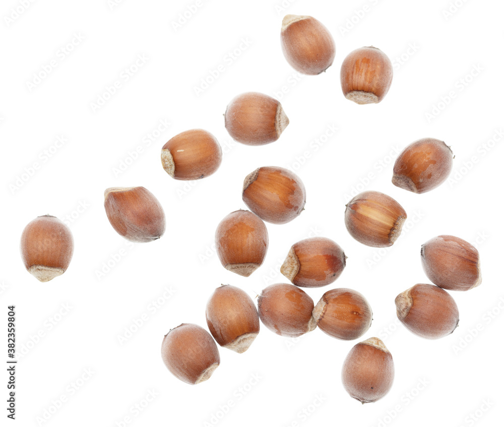 Hazelnuts isolated on a white background. Hazelnuts isolated on a white background.