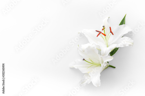 Condolence card with white flowers lily. Funeral symbol