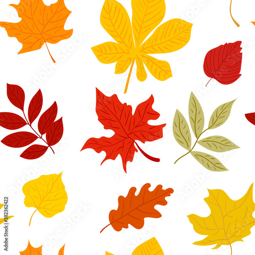 Colorfull autumn leaves seamless pattern. Vector