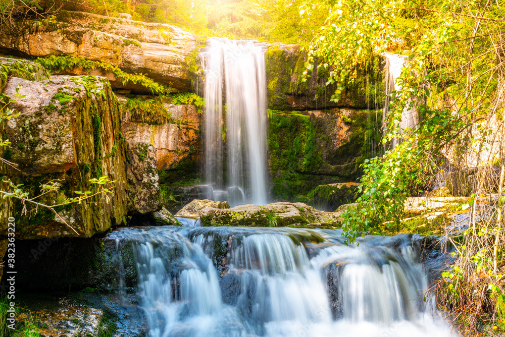 Fototapeta premium Wild Forest Waterfall