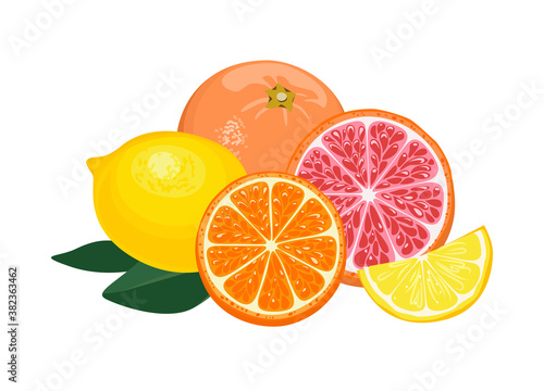 
Orange, lemon, grapefruit isolated on white background. Pile of citrus, whole and halved. Vector illustration in cartoon flat style.
