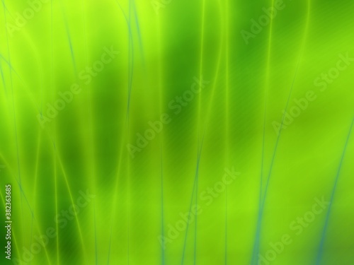 Grass green art abstract illustration fantasy background