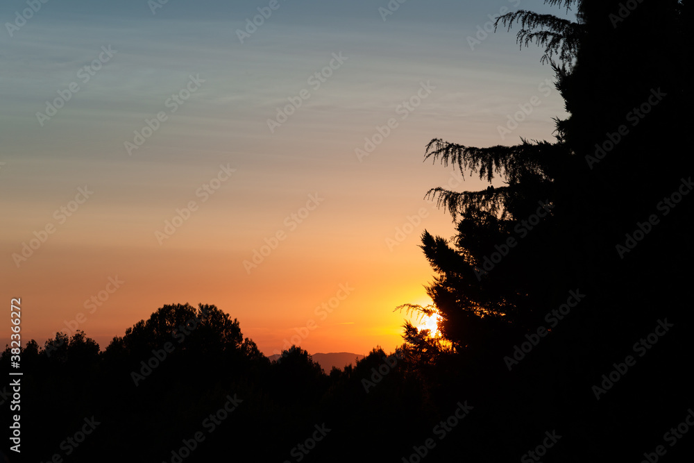 Sunset between trees in a forest, with mountains in the background.