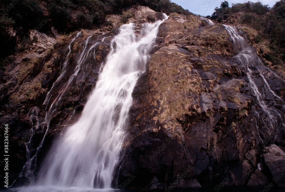 Obraz premium 屋久島