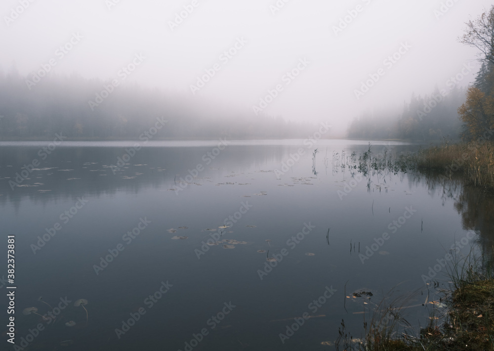 Autumn Photo of a lake and forest on a foggy morning