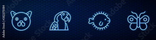 Set line Puffer fish, Cat, Macaw parrot and Butterfly. Glowing neon icon on brick wall. Vector.