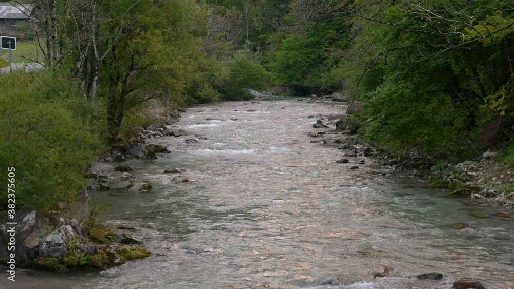 Pristine Alpine river flowing downstream. Clean Kokra river in Slovenia. Wilderness and amazing nature. Static shot, 4K, real time, wide angle Pristine Alpine river flowing downstream. Clean Kokra river in Slovenia. Wilderness and amazing nature. Static shot, 4K, real time, wide angle