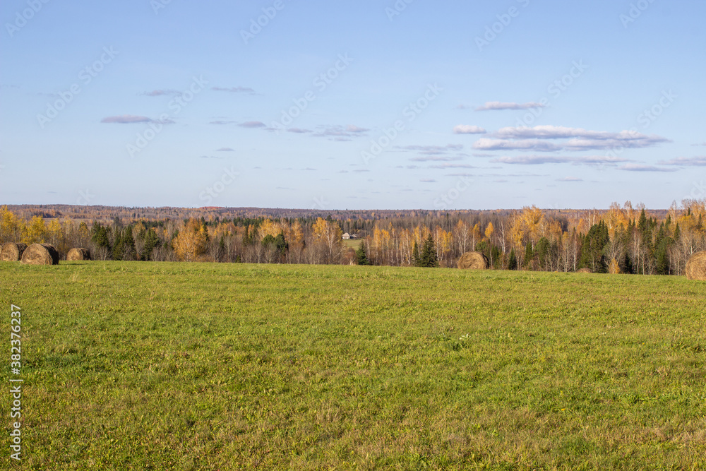 Hay bales in the field in autumn. Agricultural field with sky.