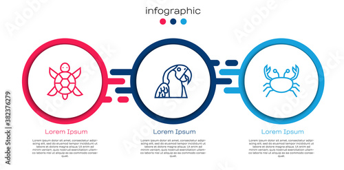 Set line Turtle, Macaw parrot and Crab. Business infographic template. Vector.