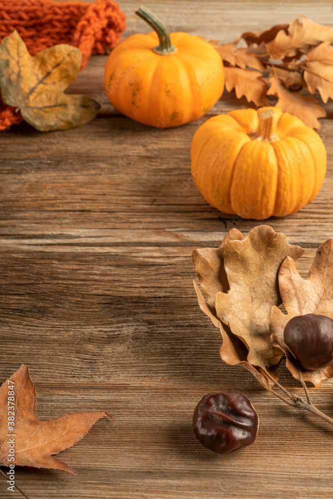 autumn template with pumpkins and dried leaves on wooden background autumn template with pumpkins and dried leaves on wooden background