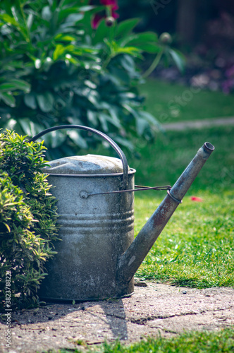 Fotografie, Obraz Watering can in garden