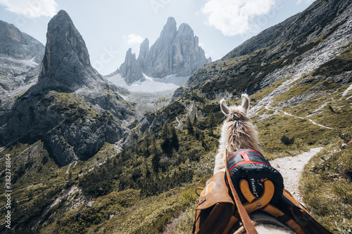 Lama Trekking 4. photo