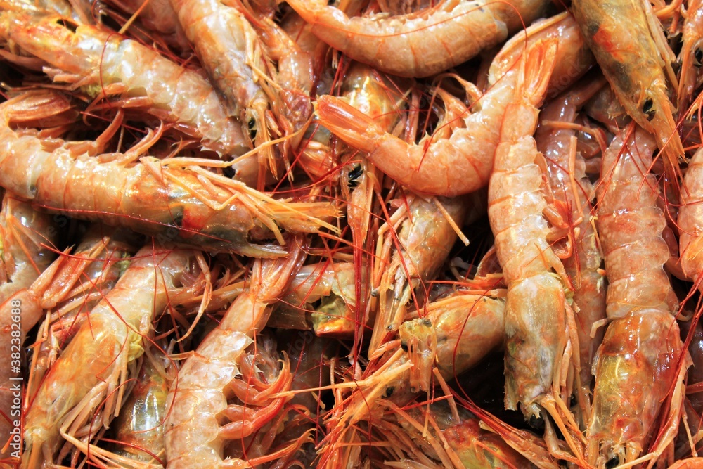 Close up of shrimps at fish market in the center of Athens in Greece. Close up of shrimps at fish market in the center of Athens in Greece.