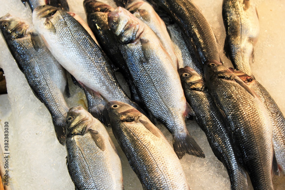 Obraz premium Stalls with sea food at fish market in Athens, Greece.