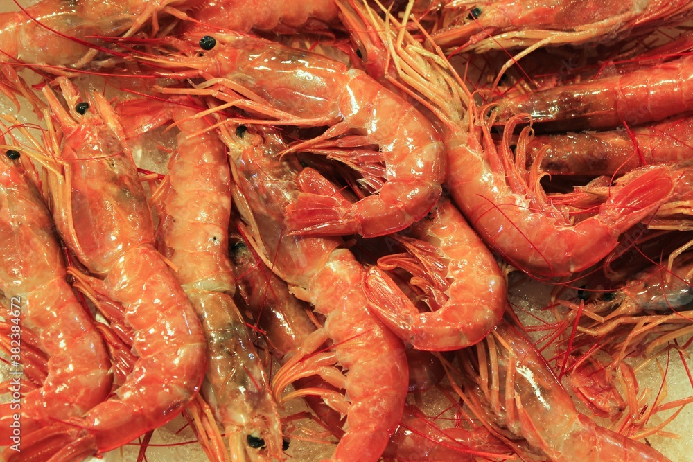 Close up of shrimps at fish market in the center of Athens in Greece.