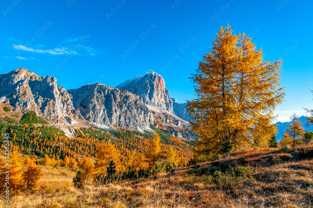 Amazing autumn scenery of Italian Dolomite Alps. Tofane mountain range, Dolomites, Italy