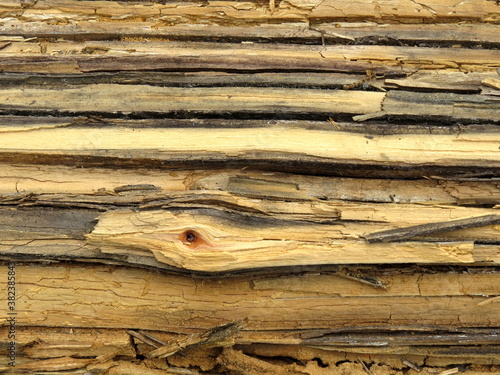 Exfoliate, rotten wood