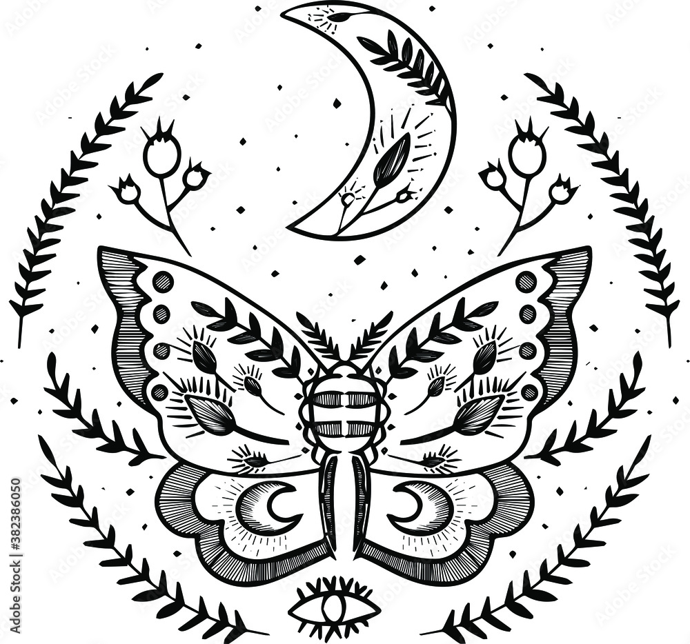 Fototapeta premium black and white butterfly