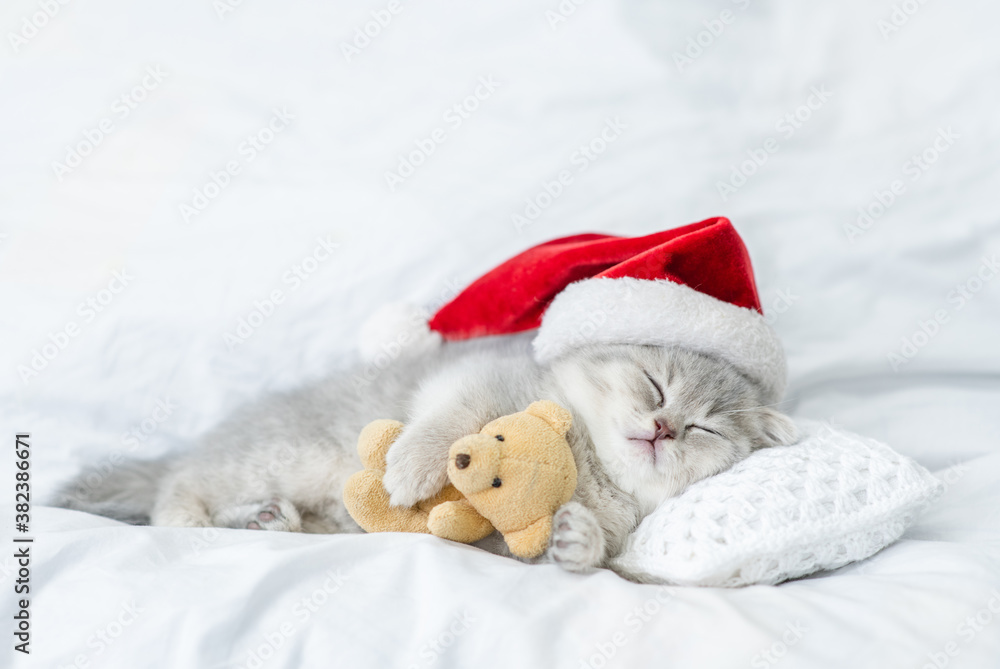 Baby kitten wearing red santa's hat sleeps on a pillow under white blanket and hugs favorite toy bear