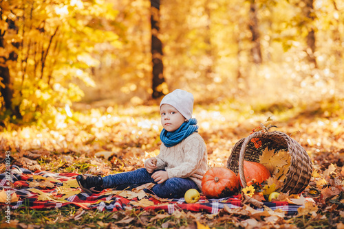 A child with a pensive face sits in the park on yellow leaves and holds a yellow maple leaf in his hand. Orange pumpkins lie nearby. Against the background  the sun illuminates the yellow foliage.
