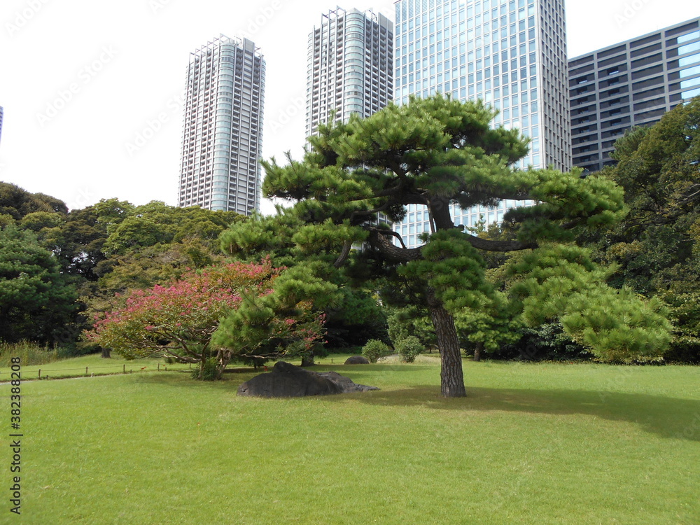 秋の日本庭園（東京）
