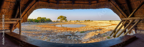 View from animal watching hide over a waterhole in Etosha National Park  Namibia