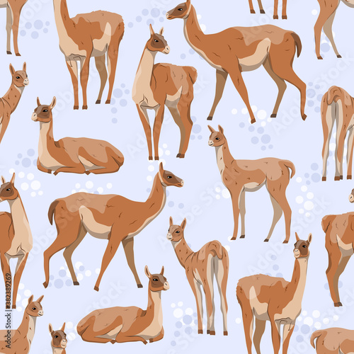 Seamless pattern. Realistic male, female and young guanacos on a blue background with dots. Lama guanicoe. Wild animals of South America. Vector illustration