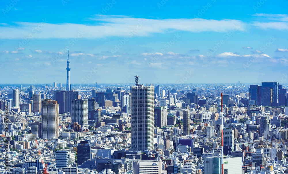 Obraz premium 東京都市風景