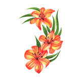 Lily-orange