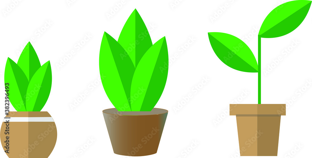 Plant in a pot vector illustration Plant in a pot vector illustration