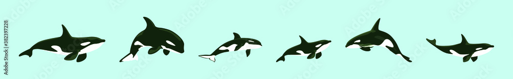 Fototapeta premium set of killer whale cartoon icon design template with various models. vector illustration isolated on blue background