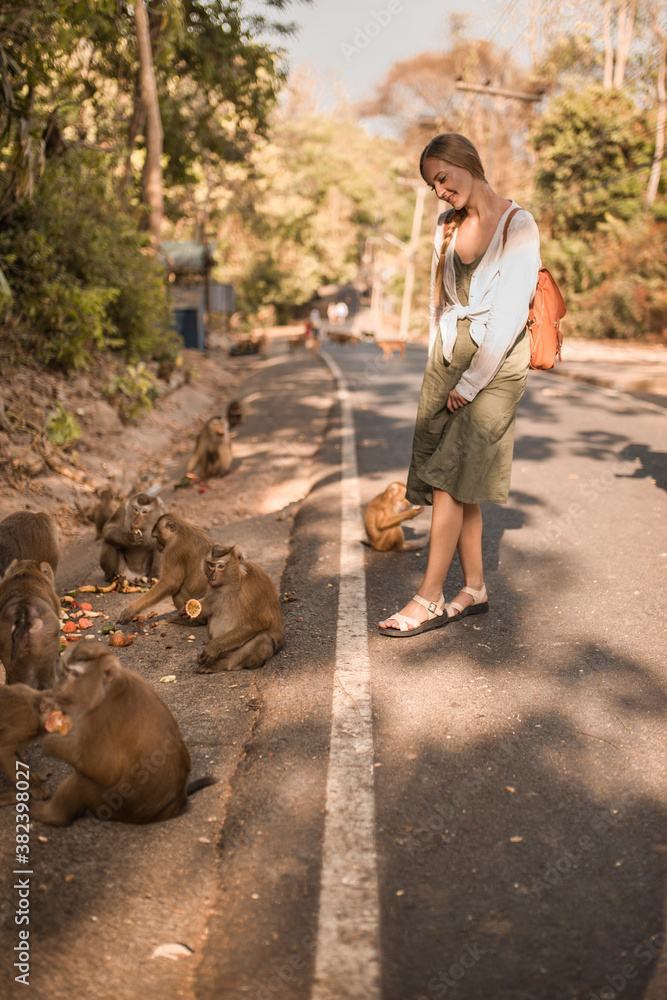 Obraz premium Caucasian traveller woman with Little smart active monkeys in the wild eat watermelons and friends run. Green Jungle creepers overgrown. Thailand Phuket Monkey Mountain.