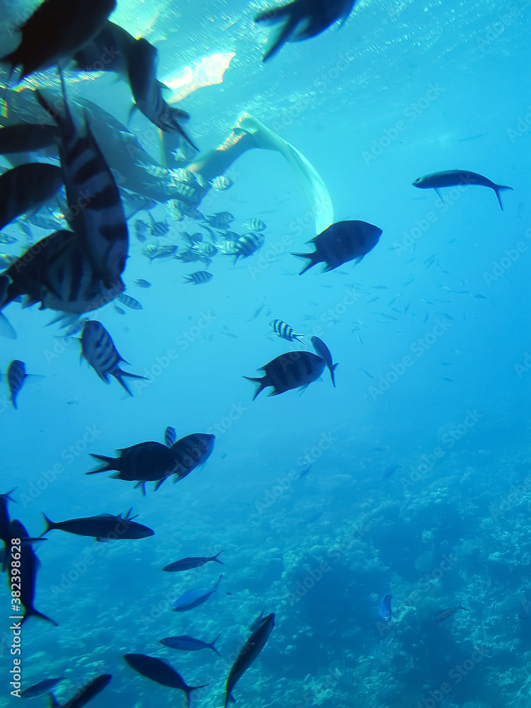 Obraz premium Diver man under water in a snorkeling mask shows open hand.