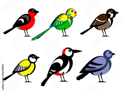 A collection of cartoon birds. Set of stylized Birds collection. Various stylized Birds isolated on white background. Vector illustration. © Vladimir Zadvinskii