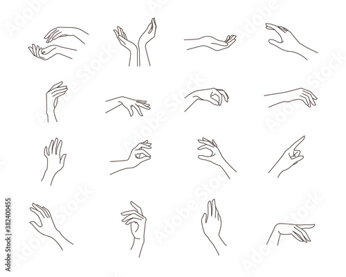 Woman's hand set in line art style. Female hands different gestures vector illustration photo