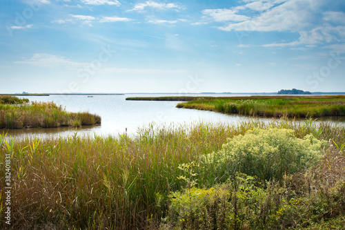Fall marsh landscape vista grasses, water, big sky © DanaDaglePhotography