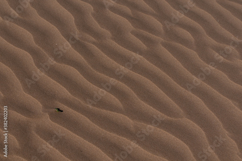 Viento en la duna