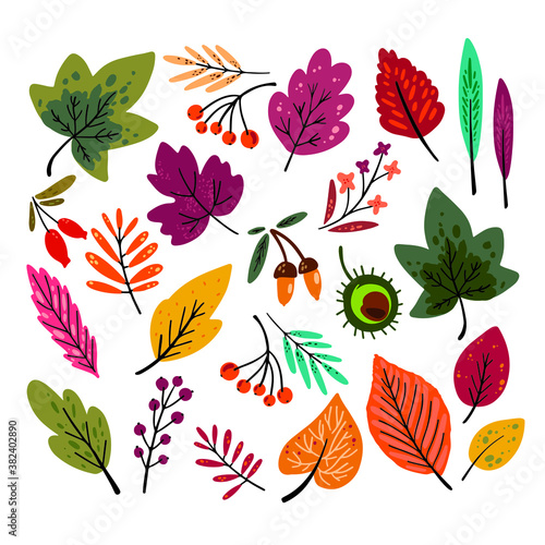 Set of autumn yellow leaves and berries. Vector illustration. Set of colorful autumn leaves  berries and nuts isolated on white background. Simple cartoon autumn elements flat style. Skandinavien