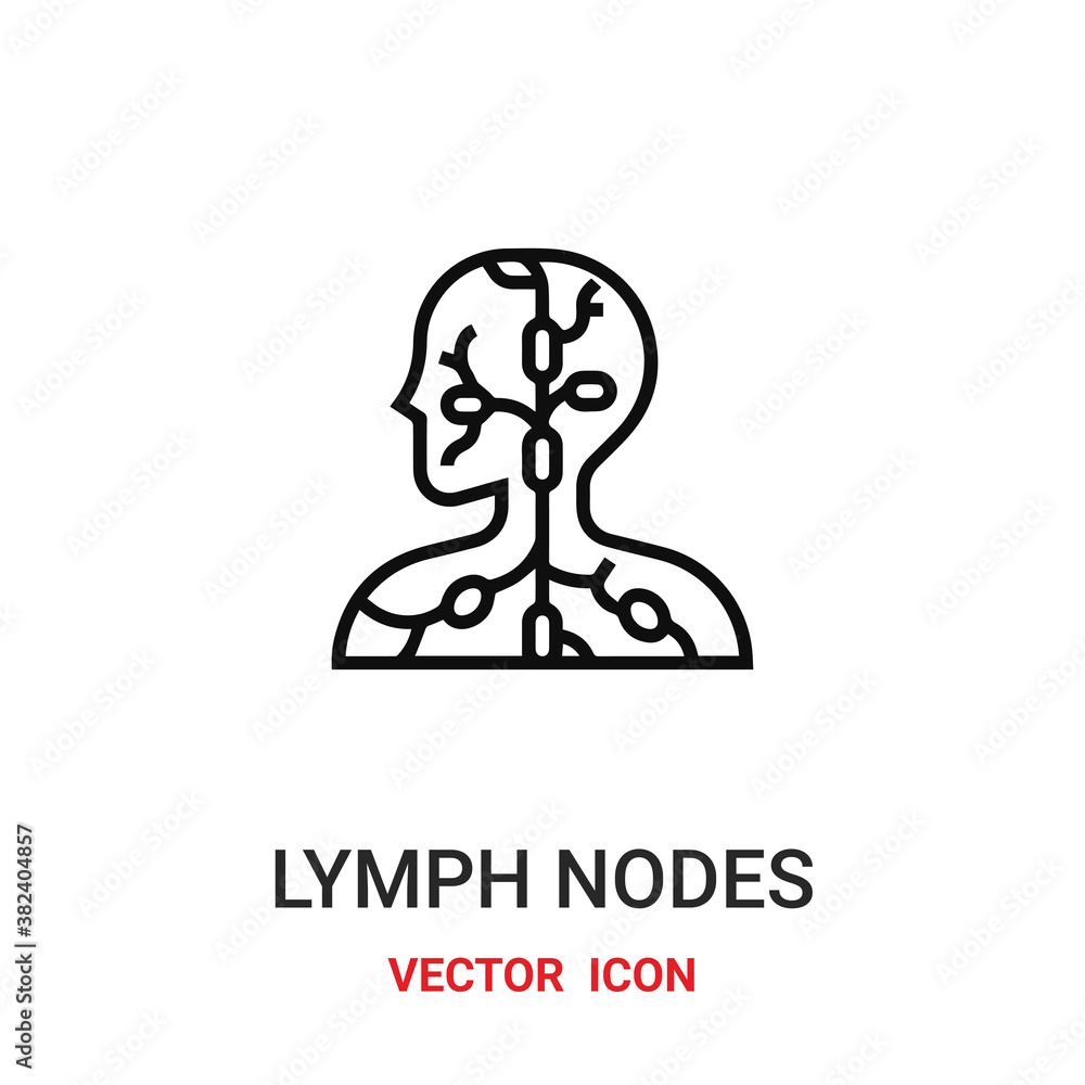 Lymph nodes vector icon. Modern, simple flat vector illustration for website or mobile app.Lymph nodes symbol, logo illustration. Pixel perfect vector graphics Lymph nodes vector icon. Modern, simple flat vector illustration for website or mobile app.Lymph nodes symbol, logo illustration. Pixel perfect vector graphics