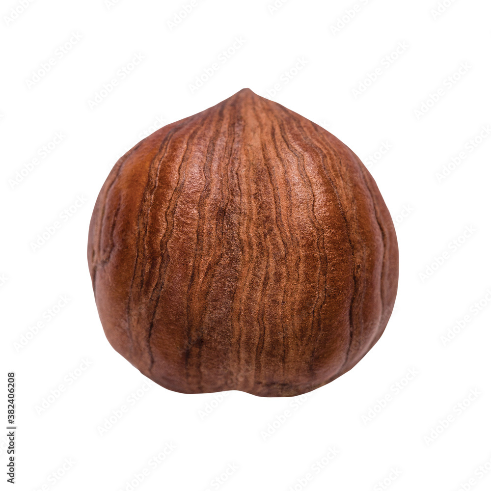 Unshelled hazelnut isolated on white background
Unshelled hazelnut isolated on white background