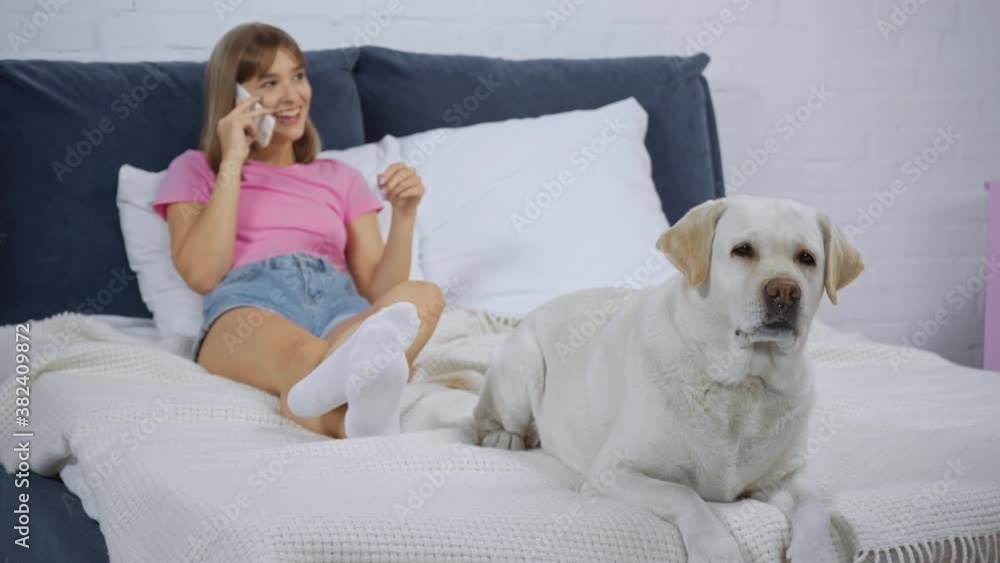 selective focus of golden retriever on bed with woman talking on smartphone