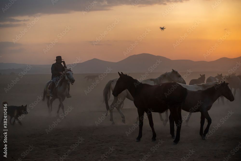 Wild horses run in foggy at sunset. Wild horses are running in dust. Near Hormetci Village, between Cappadocia and Kayseri, Turkey Wild horses run in foggy at sunset. Wild horses are running in dust. Near Hormetci Village, between Cappadocia and Kayseri, Turkey