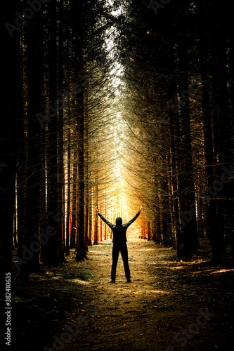 Silhouette einer Person auf einem Waldweg im Gegenlicht