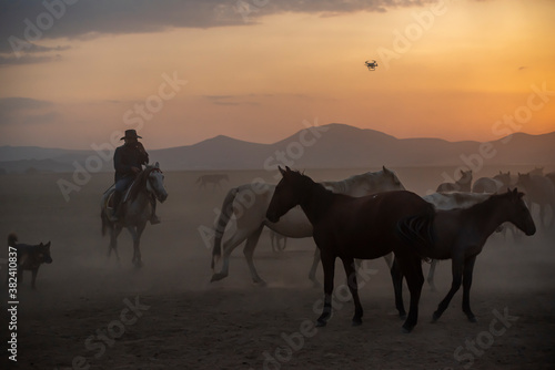 Wild horses run in foggy at sunset. Wild horses are running in dust. Near Hormetci Village  between Cappadocia and Kayseri  Turkey