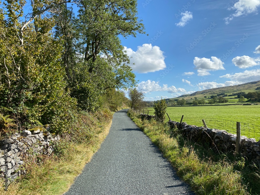 Country lane, with dry stone walls, old trees and fields, leading toward, Kilnsey, Skipton, UK